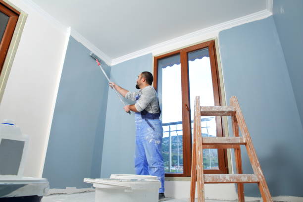 Julian, CA Mold Removal Company