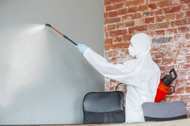 Best Mold Remediation for Healthcare Facilities  in Julian, CA
