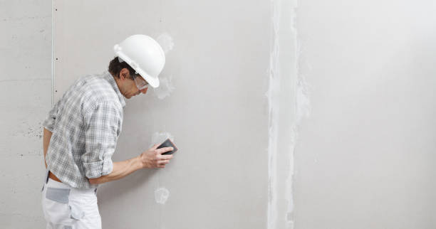 Best Emergency Mold Remediation  in Julian, CA