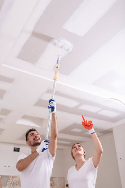 Best Residential Mold Inspection & Testing  in Julian, CA