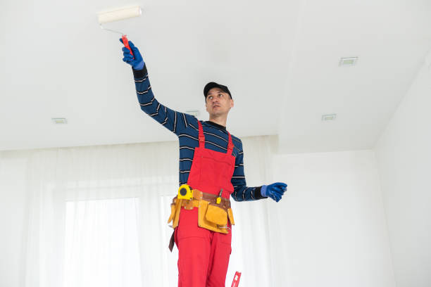 Best Environmental Consulting for Mold Prevention  in Julian, CA