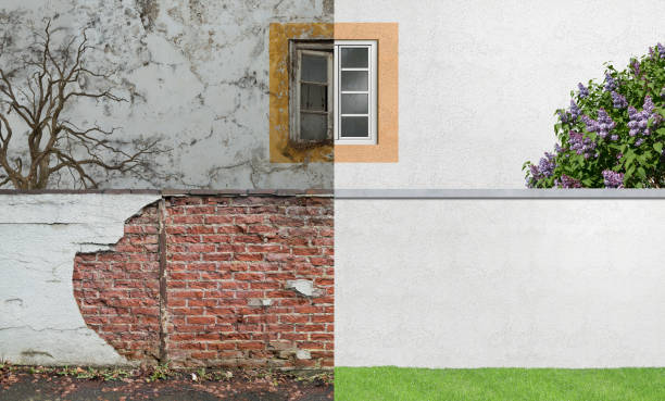 Best Real Estate Mold Inspection  in Julian, CA