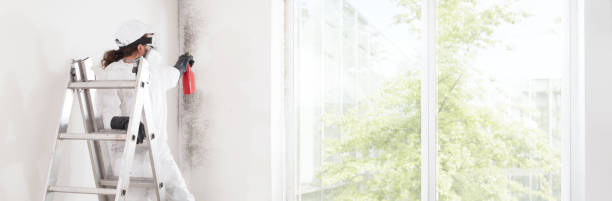 Best Industrial Mold Remediation  in Julian, CA