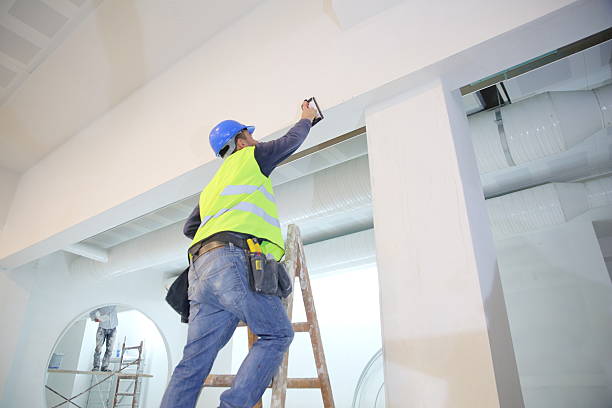 Best Mold Remediation for Healthcare Facilities  in Julian, CA